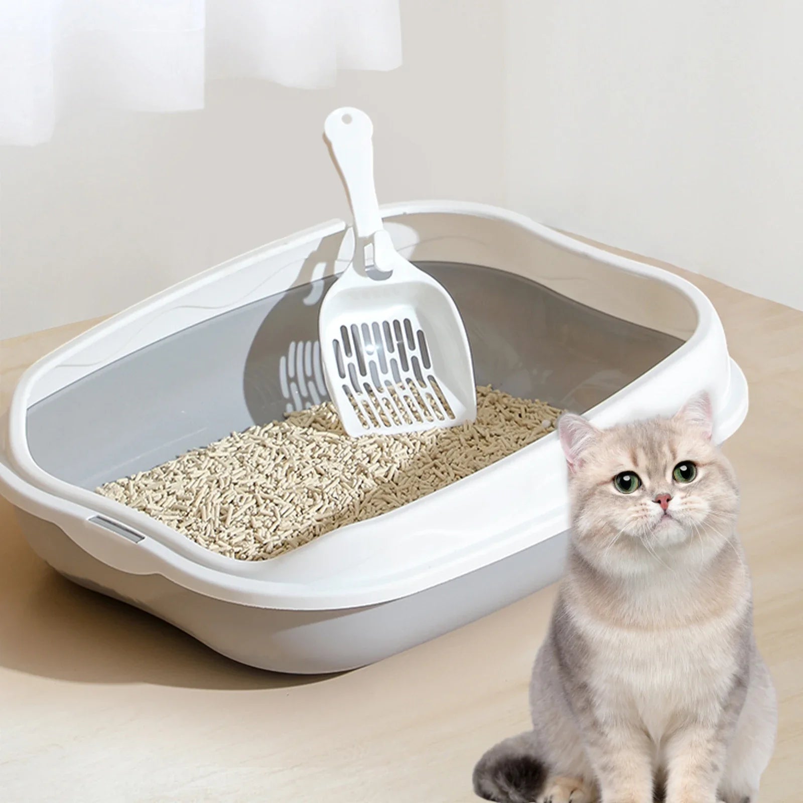 Semi-Enclosed Cat Litter Box – Splash-Proof Anti-Scatter Kitty Toilet, Large (42 x 29 x 12 cm | 16.5 x 11.4 x 4.7 in)